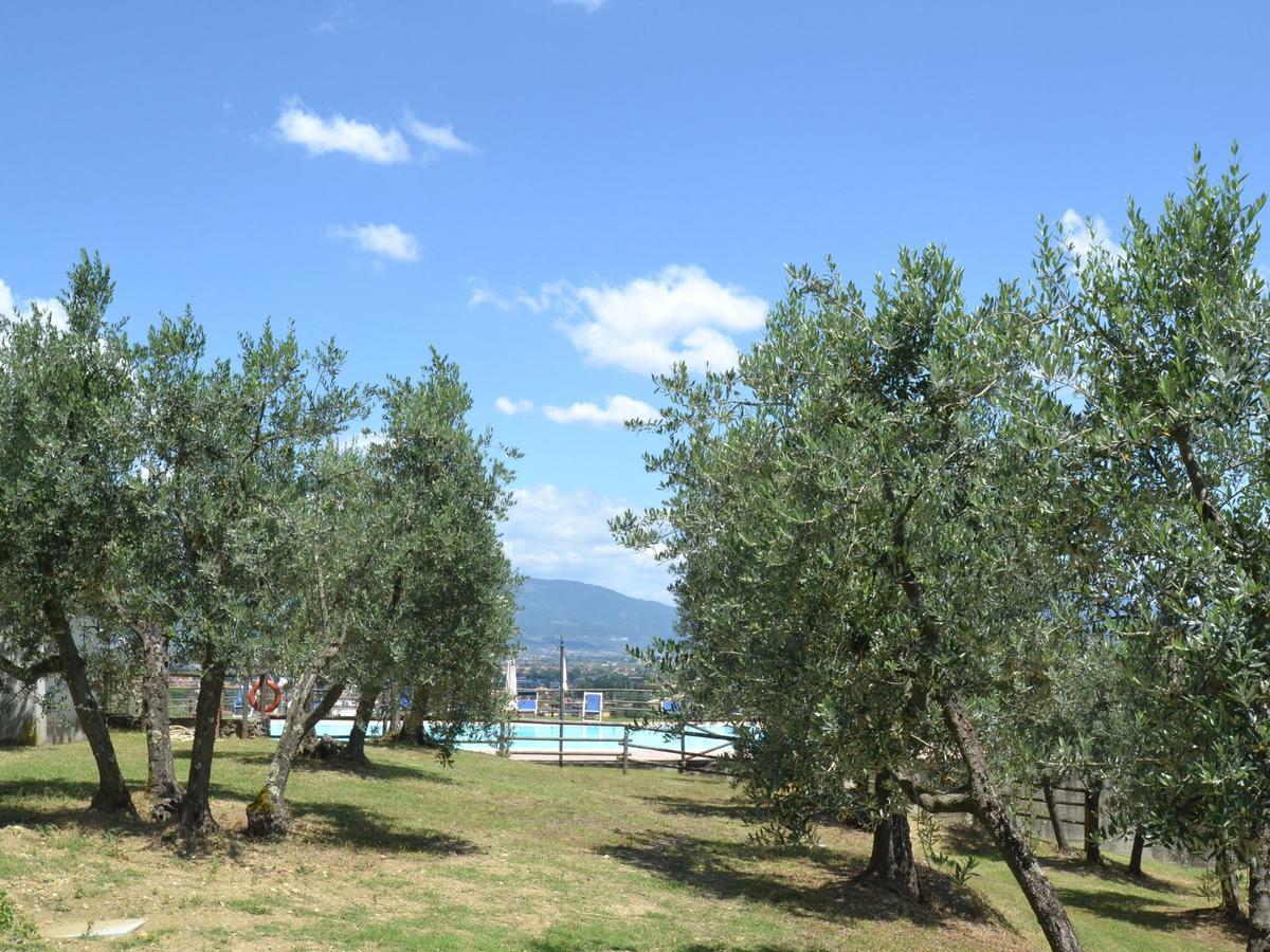 Belvilla By Oyo La Casa Dei Cinque Olivi Quarrata Εξωτερικό φωτογραφία