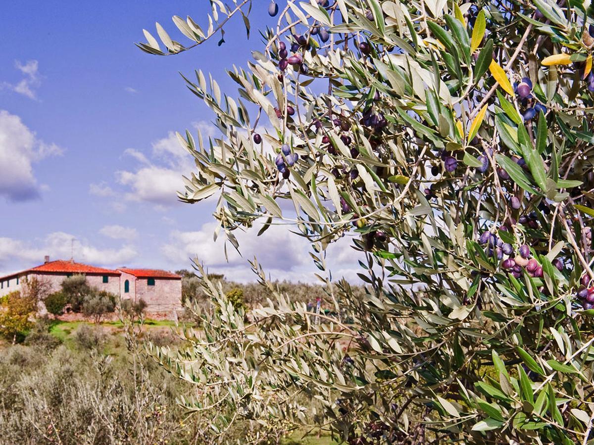 Belvilla By Oyo La Casa Dei Cinque Olivi Quarrata Εξωτερικό φωτογραφία